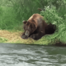 daily-gifdump-3391-10.gif