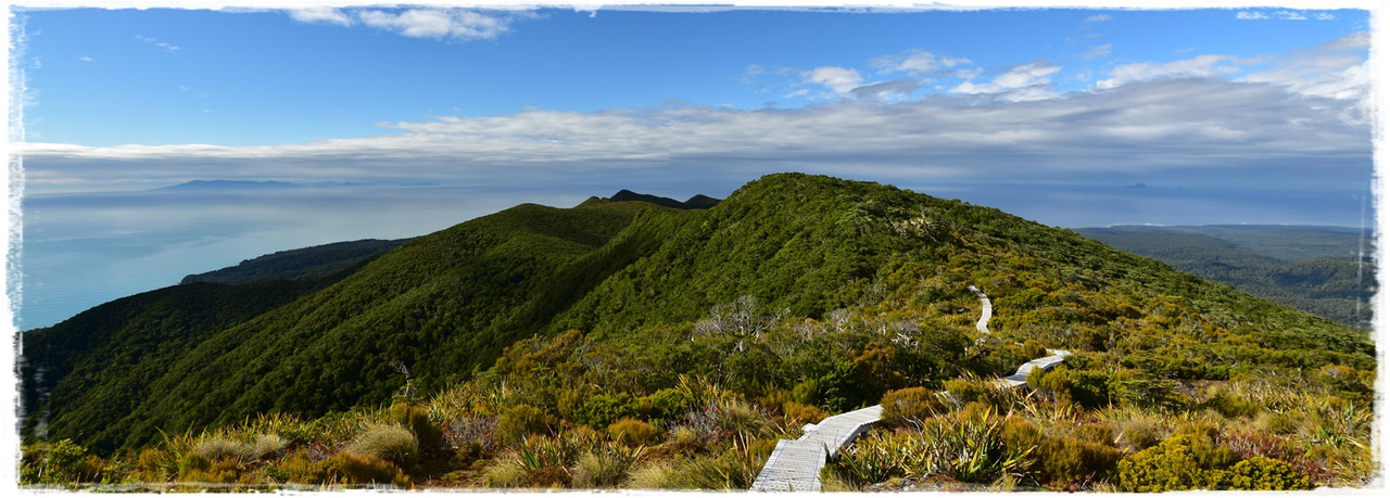 Escapadas y rutas por la Nueva Zelanda menos conocida - Blogs de Nueva Zelanda - Fiordland NP: Humpridge Track (febrero 2021) (42)