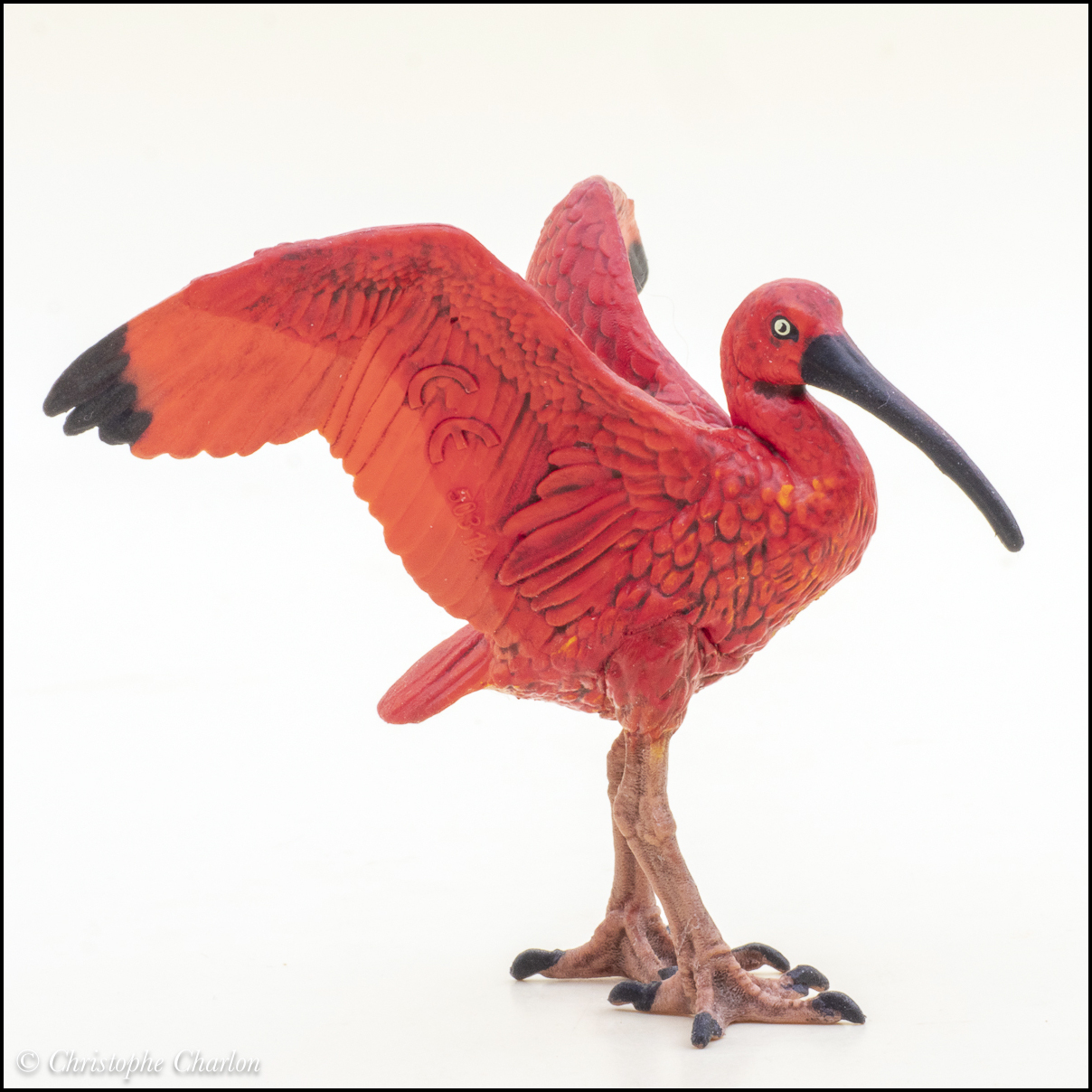 Papo 2025 Releases With Pictures