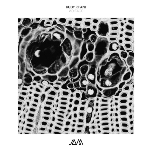 Rudy Ripani - Voltage (2026)