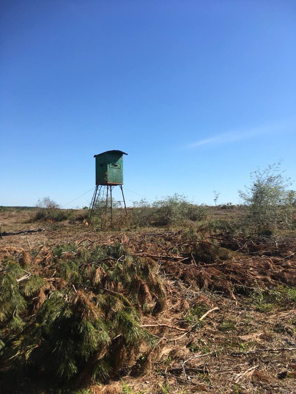 Elevated blind build number 2- pics/story - 24hourcampfire