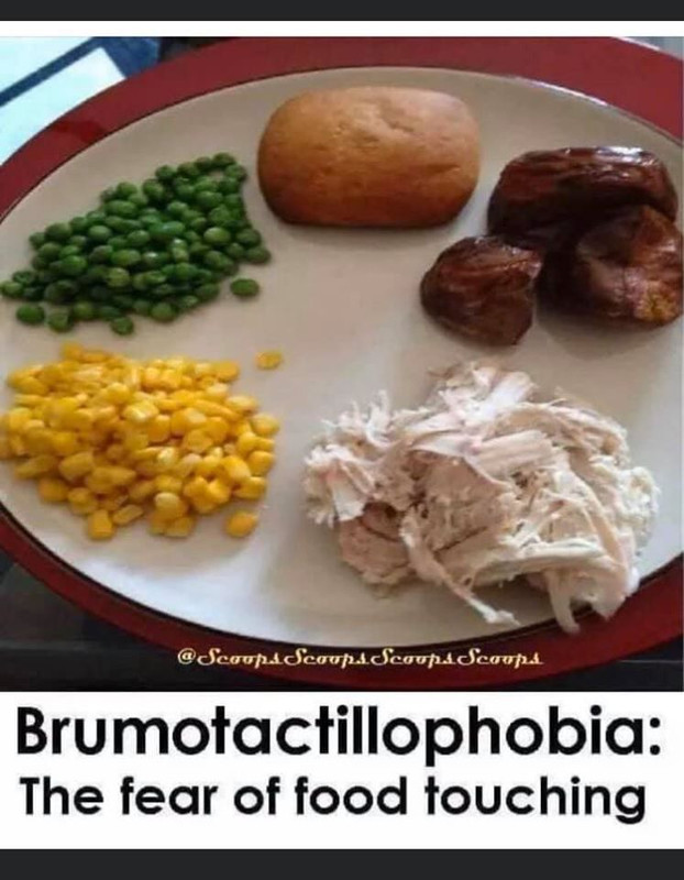 Fear of Food Touching — Postimages