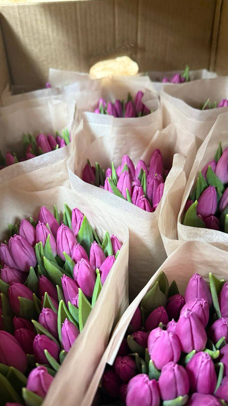 Лавандовая тайна