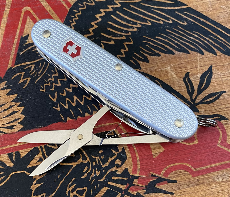 1331ED47-7E89-4A58-99E9-84311A70A01F