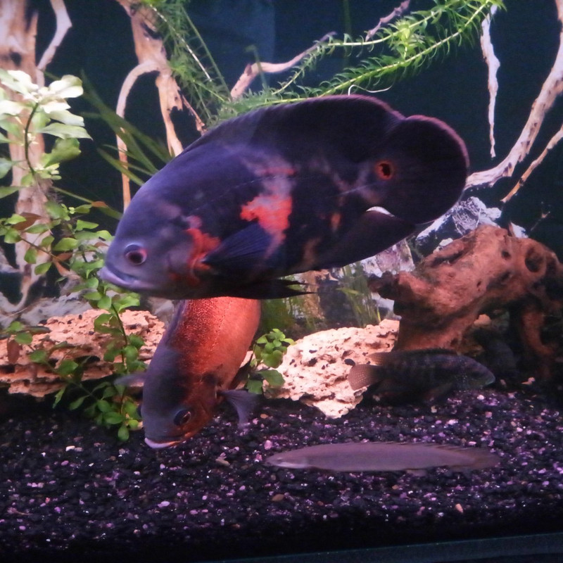 изображение_viber_2019-09-09_15-41-02