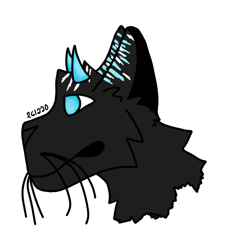 Sw-ifty-2.png