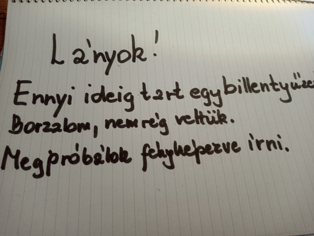 Kép