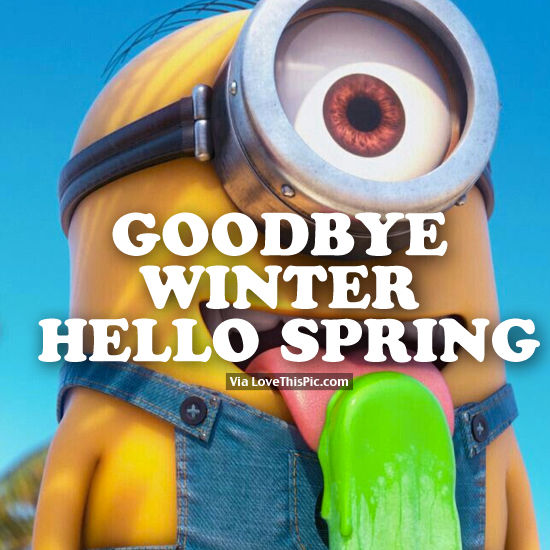 245400-Goodbye-Winter-Hello-Spring-Minion