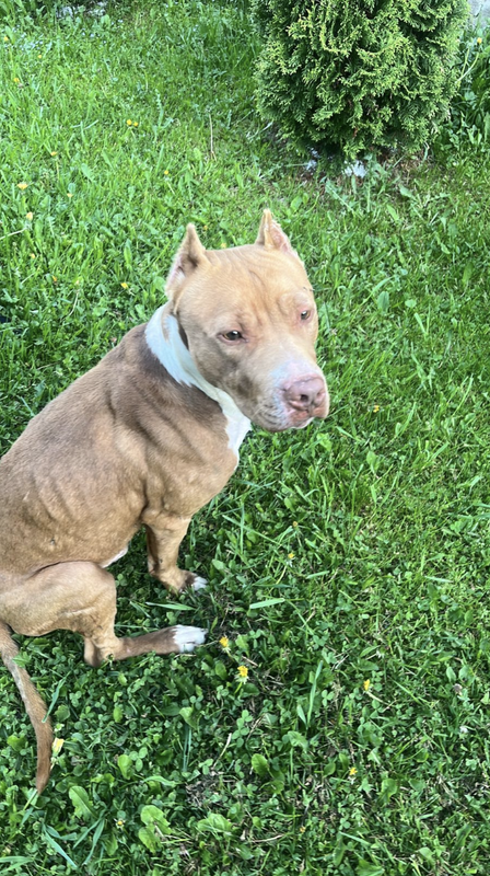 Снимок экрана 2024-05-27 в 19.55.19