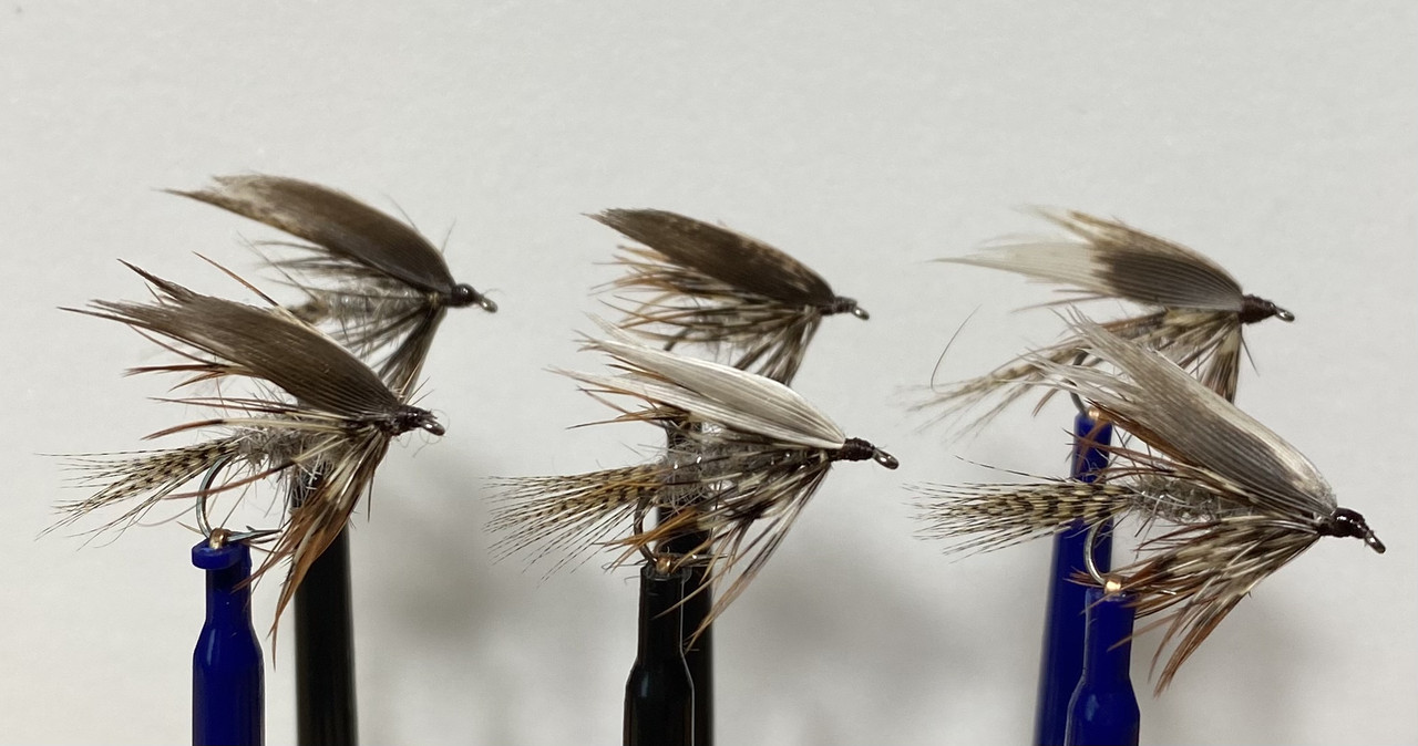 5E736735-2E19-4941-84F7-FBBD37BAEC4E