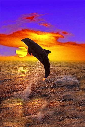 goldolphin.jpg