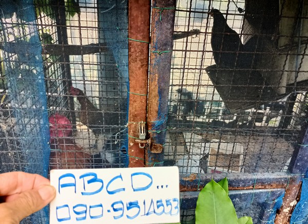 รูปภาพ