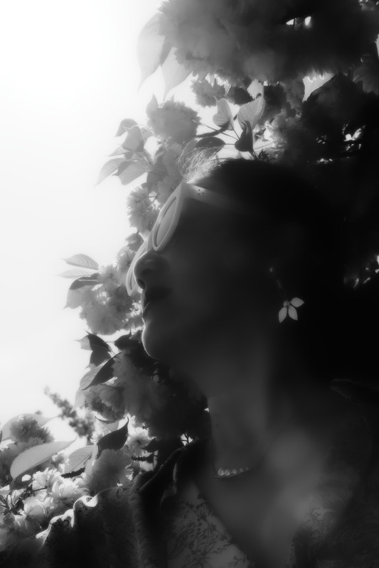 Tintin 2025 (346)_DxO-2_Radiant