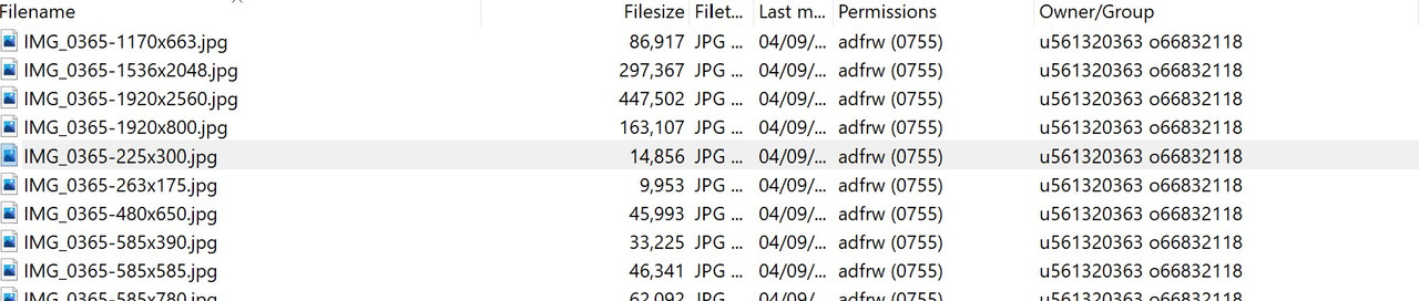 File_1