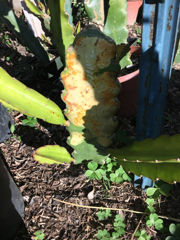 2B5AF5F2-BB7F-48D2-A1AC-3DED0FED0A71