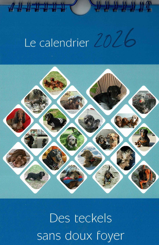 Numérisation_20250826