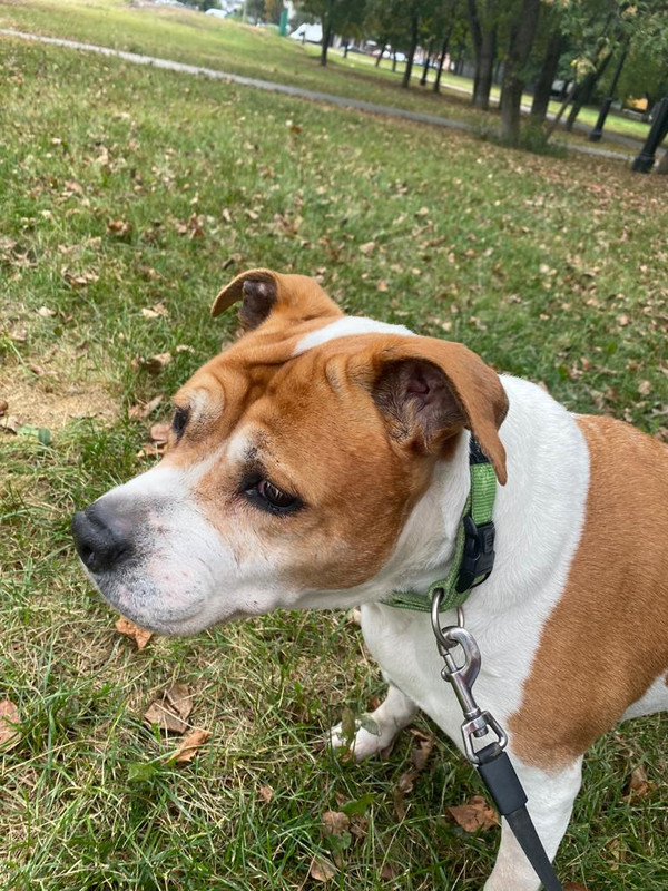 EA86666B-9C11-4CD0-A2BE-B72A0026A241