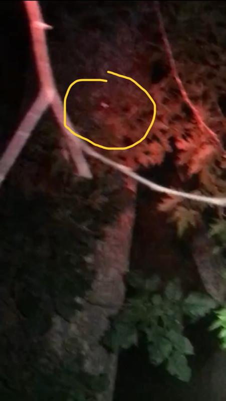 1F0DAA3B-3AB1-4843-86D5-5AE60CC47DCA