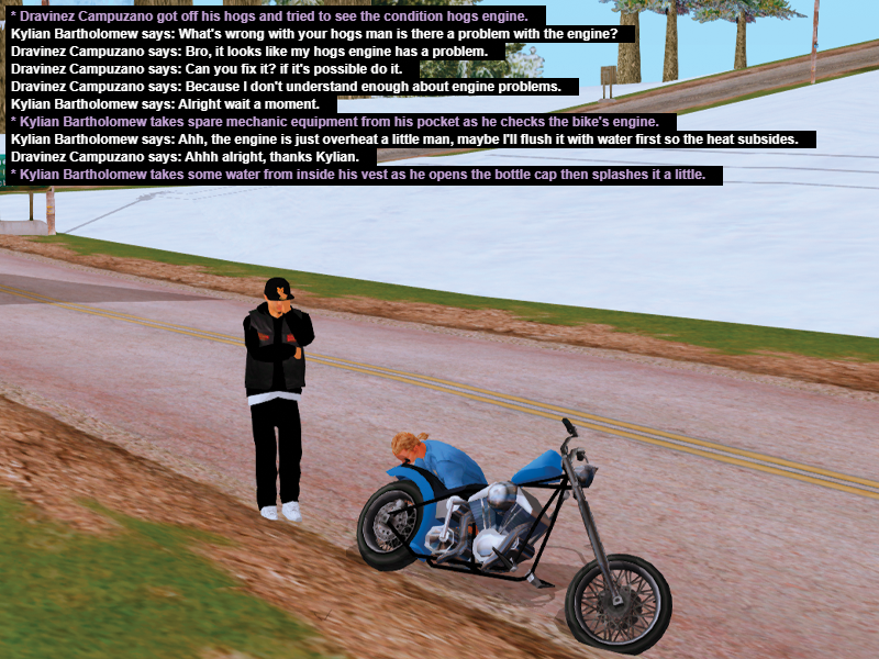 ssrp334.png