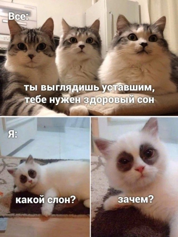 8ab75b999e9d17e22884214a719d8440.jpg