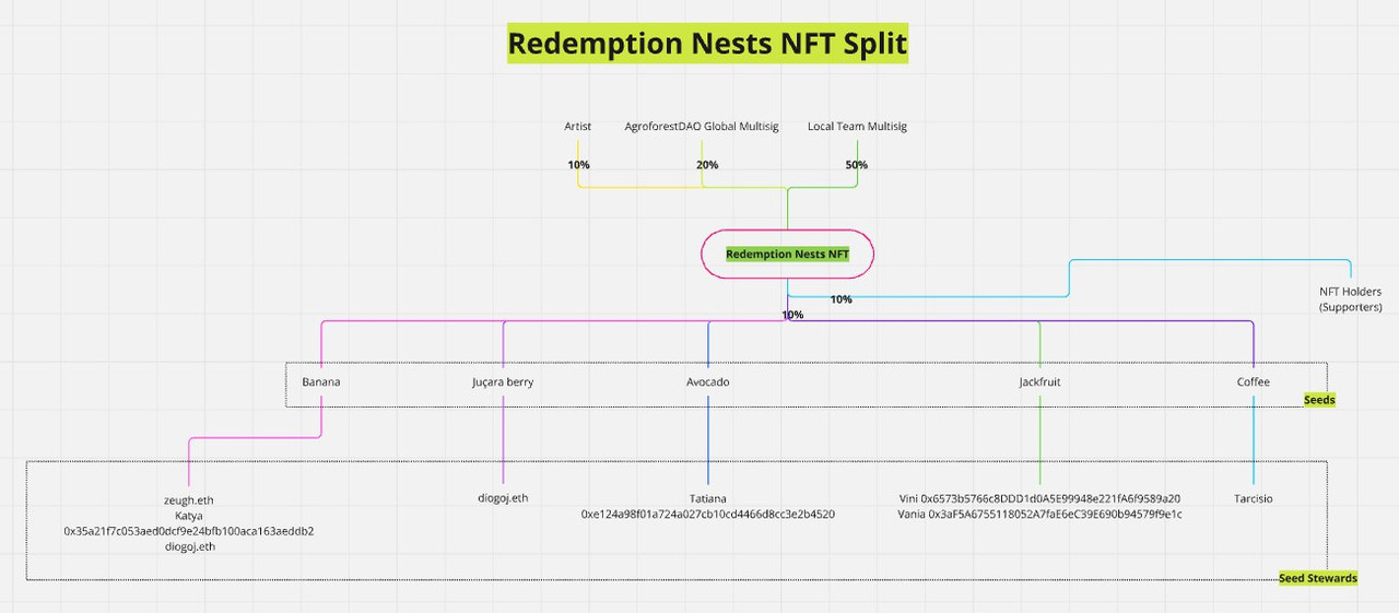 nftsninhossplit.jpg