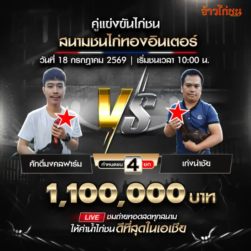 โปรแกรมไก่ชน สนามชนไก่ทองอินเตอร์ 18 กรกฎาคม 2569 ศักดิ์มงคลฟาร์ม พบ เก่งนำชัย