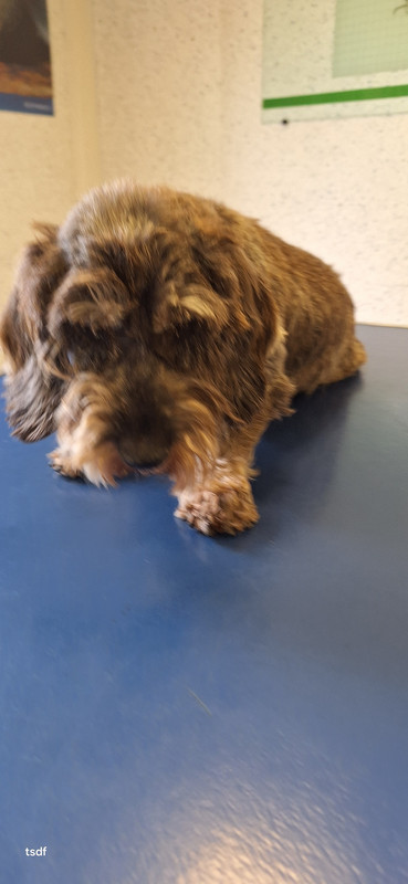 [Image: 20250606-171434.jpg]