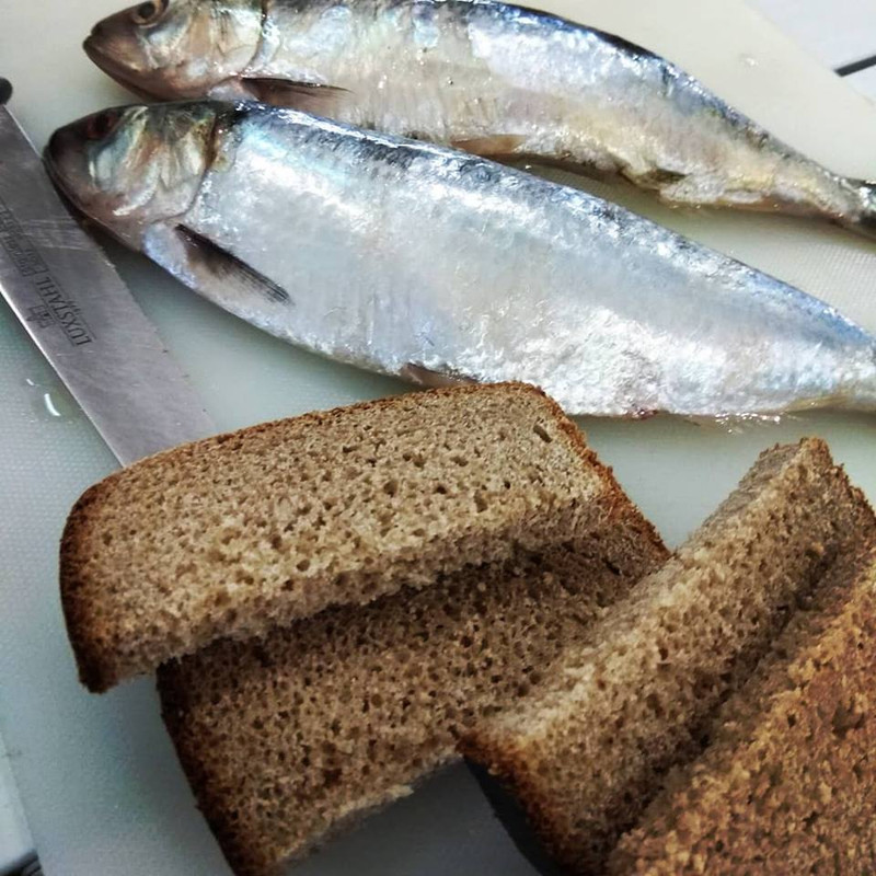 37656093_509135012856212_8836692583552909312_n (1)