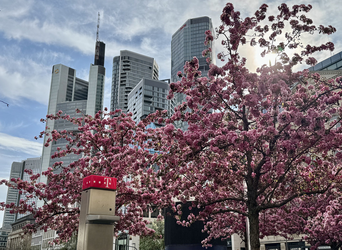 CE50C66C-6DC1-4B2D-9EB6-3369A7EA2C85_1_201_a