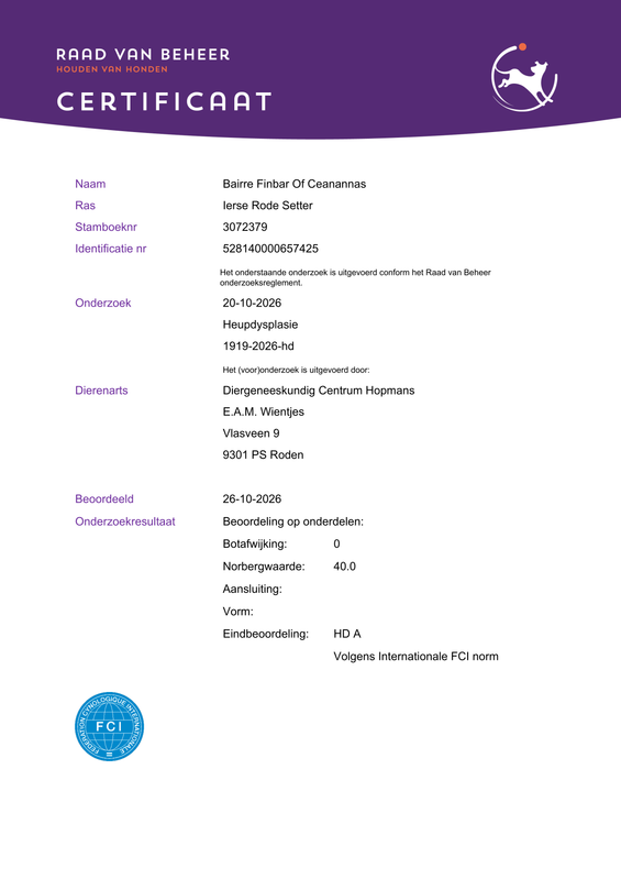 2026 10 26 certificaat HD (3)
