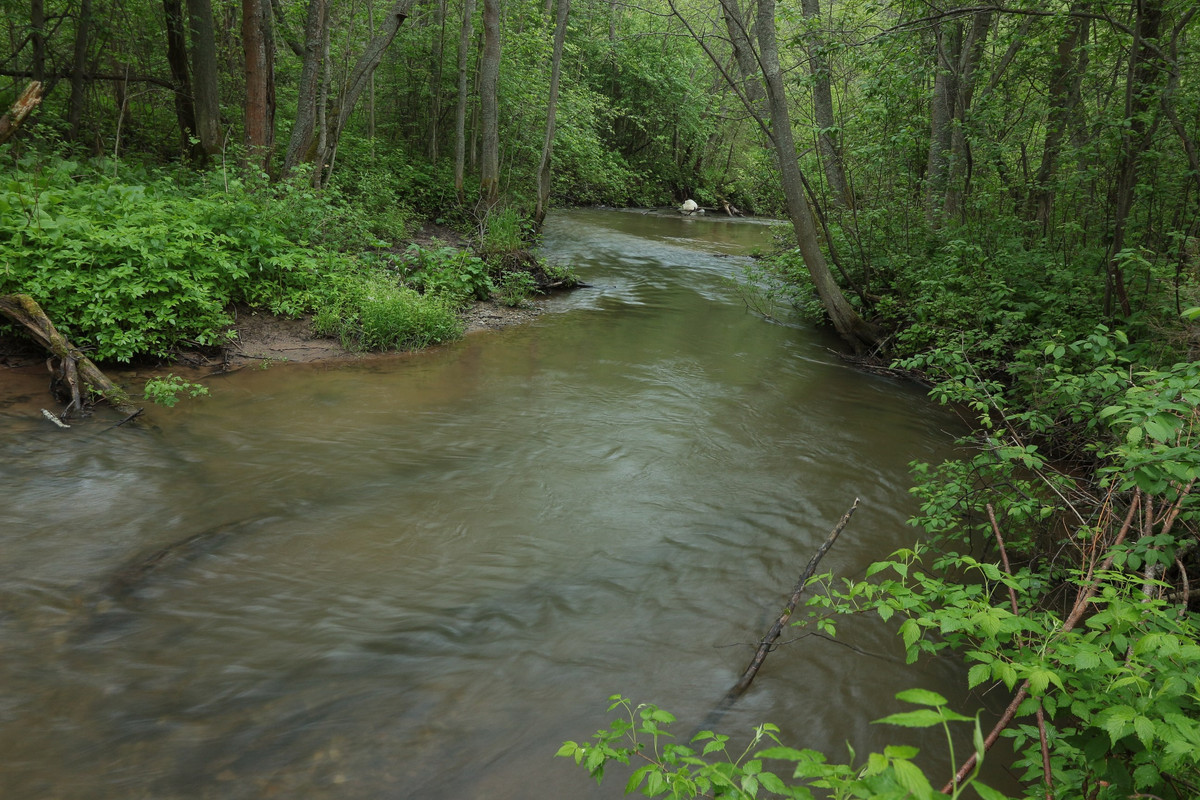 IMG_5584 (2592 x 1728)