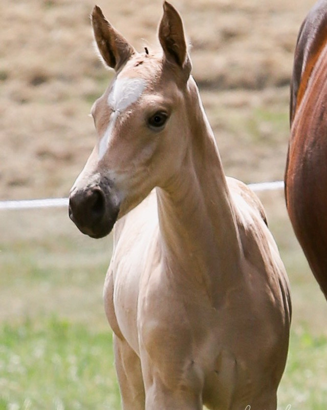 IMG-20220701-WA0005 (2)