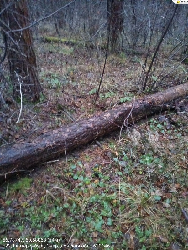 56 78747 60 58063 4m 06112025 170605