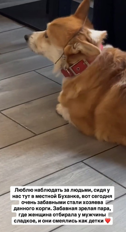 https://i.postimg.cc/1RYgQps9/Screenshot-3.jpg