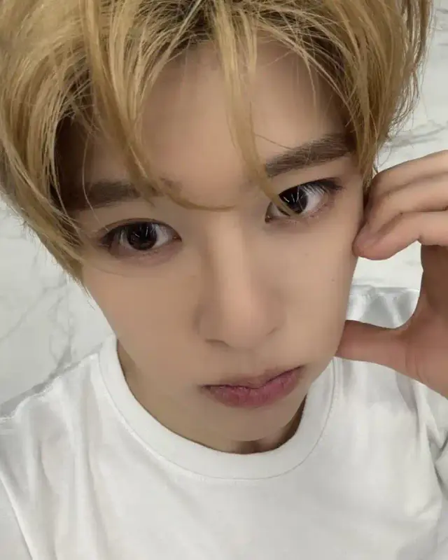 20250604_172833_copy_944x1180