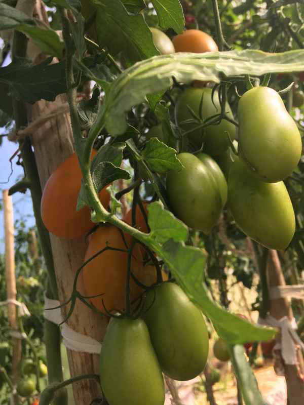 F9E66CB3-DB87-4F72-A898-464F2D644C2B