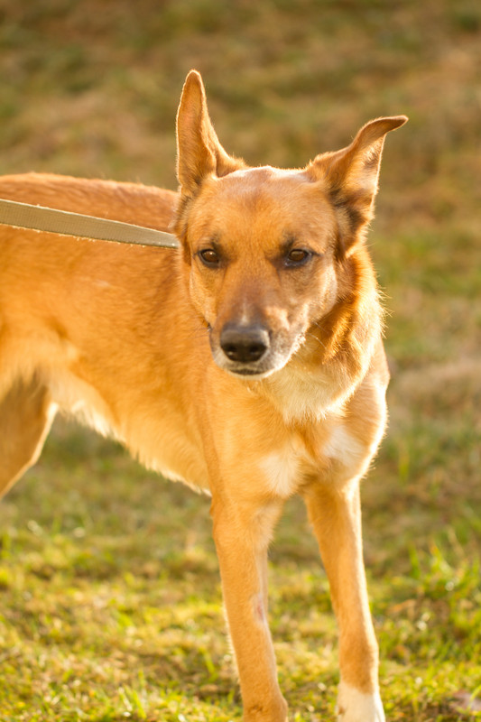 без имени-5350