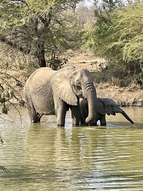 [Linked Image from i.postimg.cc]