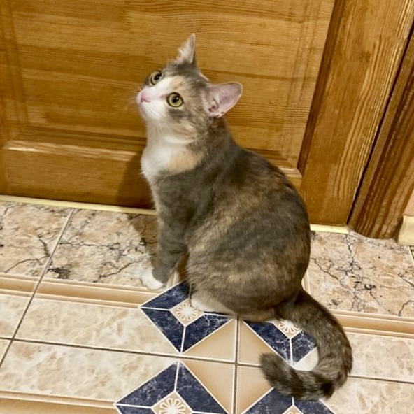 AB92505F-3A4D-4BD0-BE4C-B3C469E1E25C