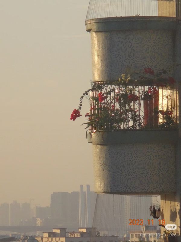 photo 14 2026 01 03 21 27 57