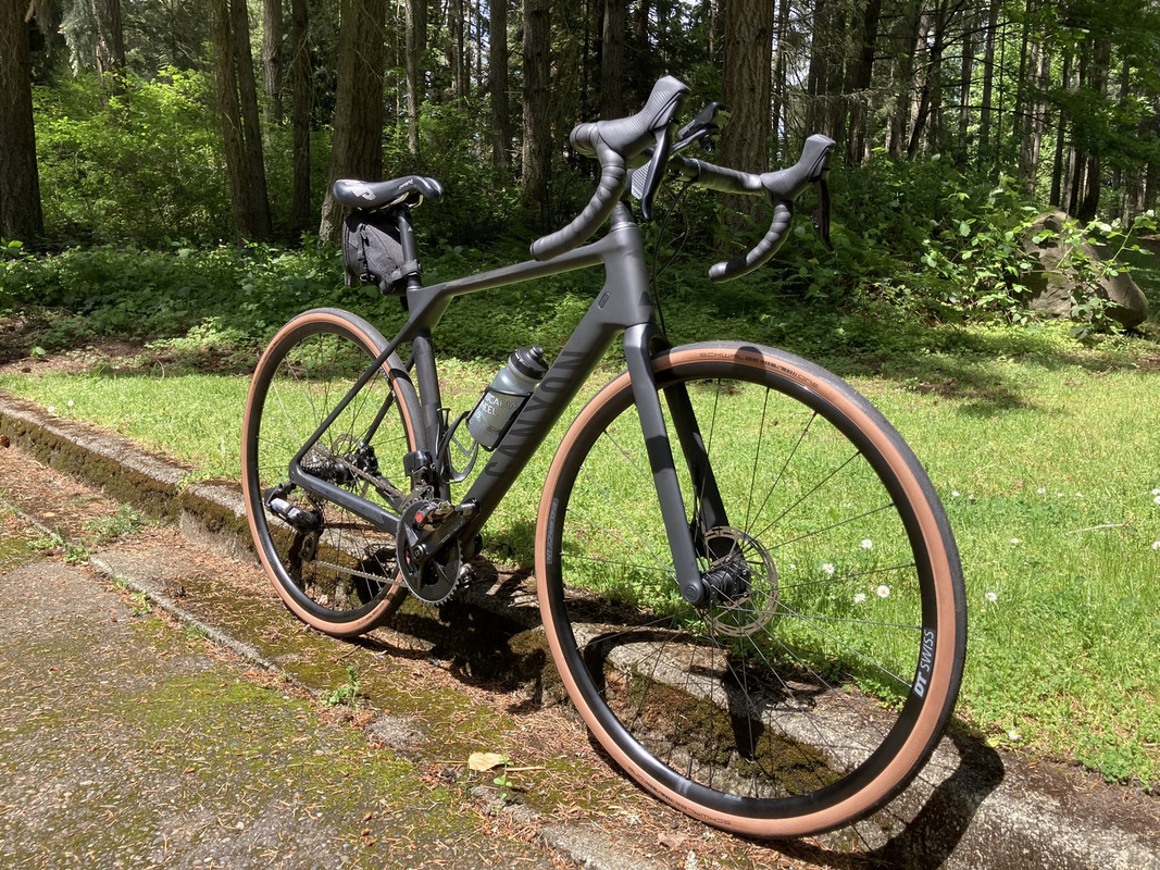 DT Swiss Endurance LN wheels info or reviews? : r/CanyonBikes
