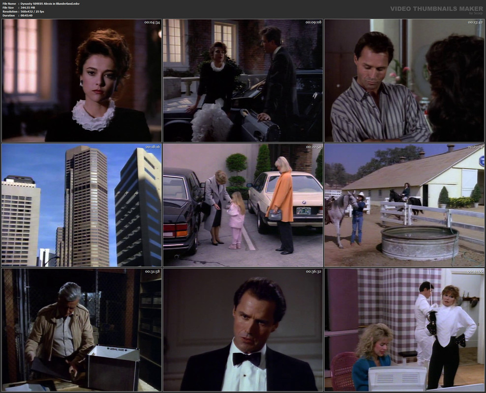 Dynasty S09E05 Alexis in Blunderland.mkv