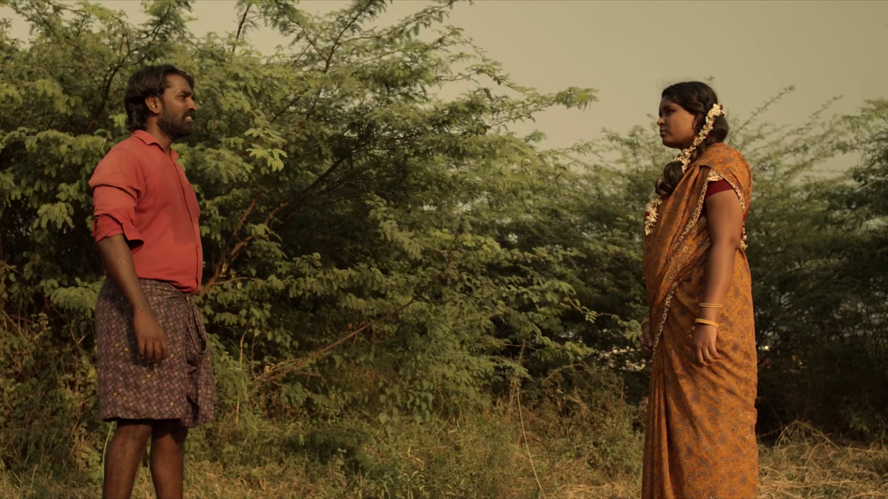 vlcsnap 2026 02 23 18h08m06s053