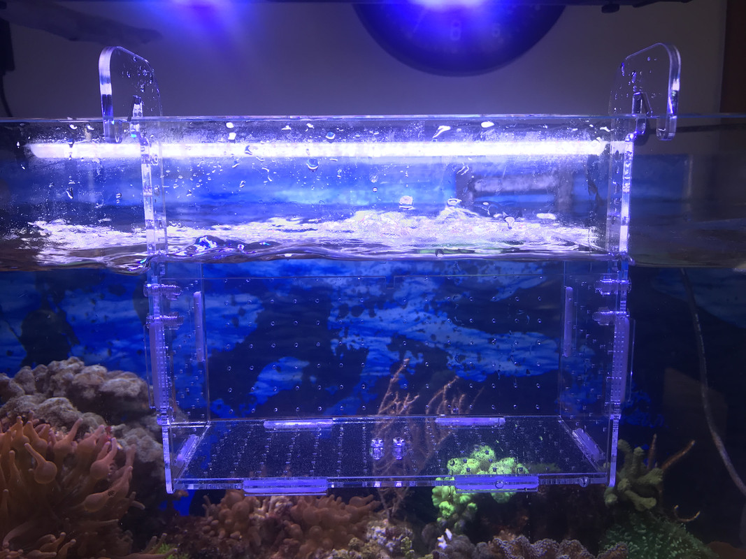 016981A6-C9F8-41C5-902E-D41AD146A386