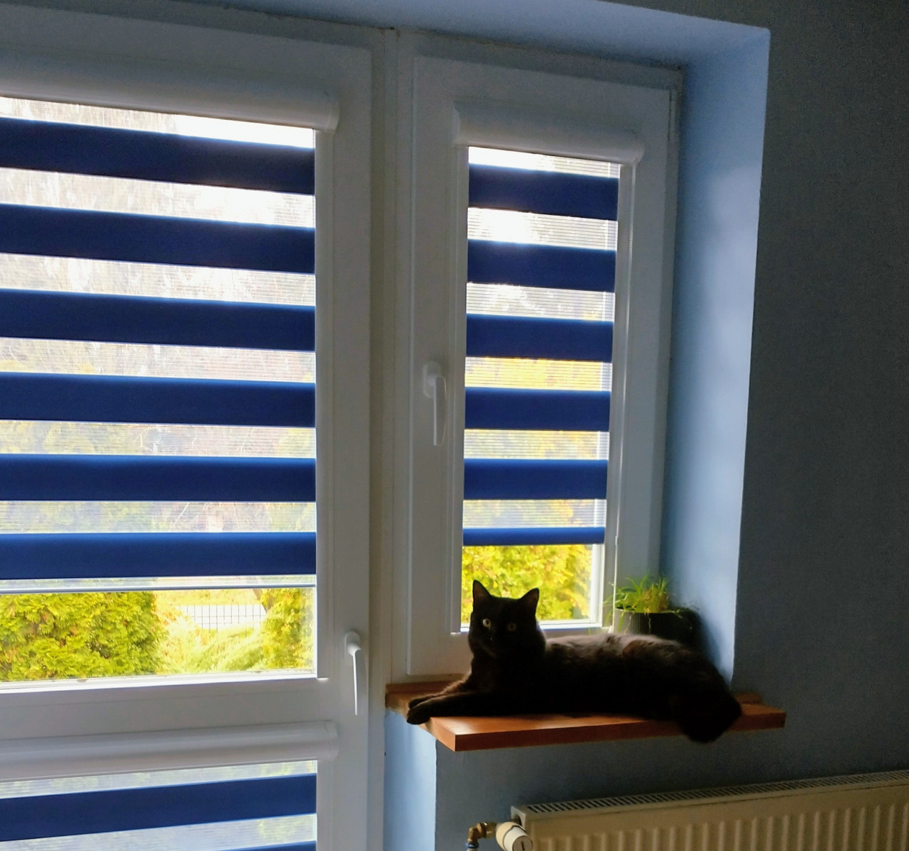 IMG 20251120 131108758 HDR 3