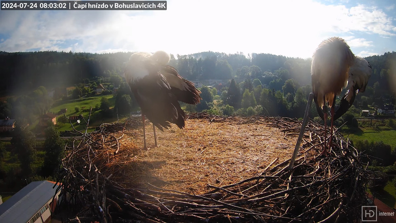 Tiešraidē no uzņēmuma KARA stārķa skursteņa Bohuslavicē pie Trutnovas 10-30-9 screenshot