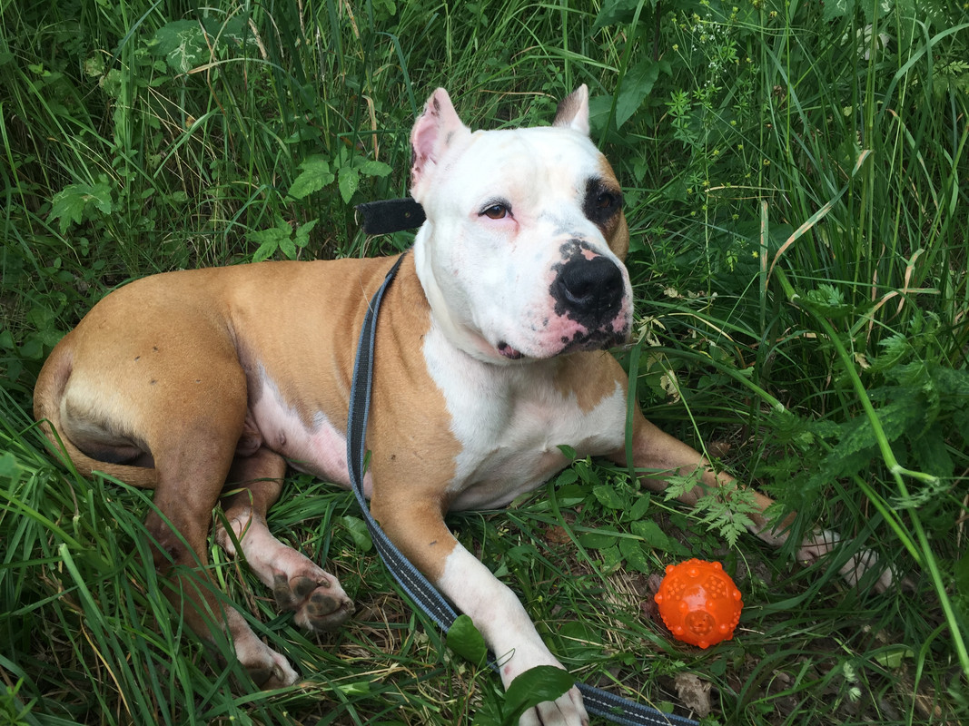 B5E939DD-5C52-4CAC-BB55-6567E7F330BC