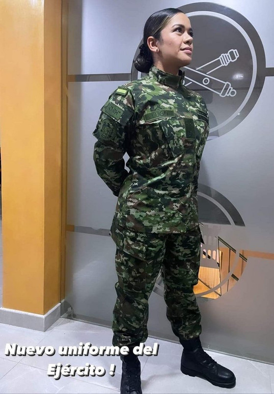 Proyecto Camaleón Bicentenario011