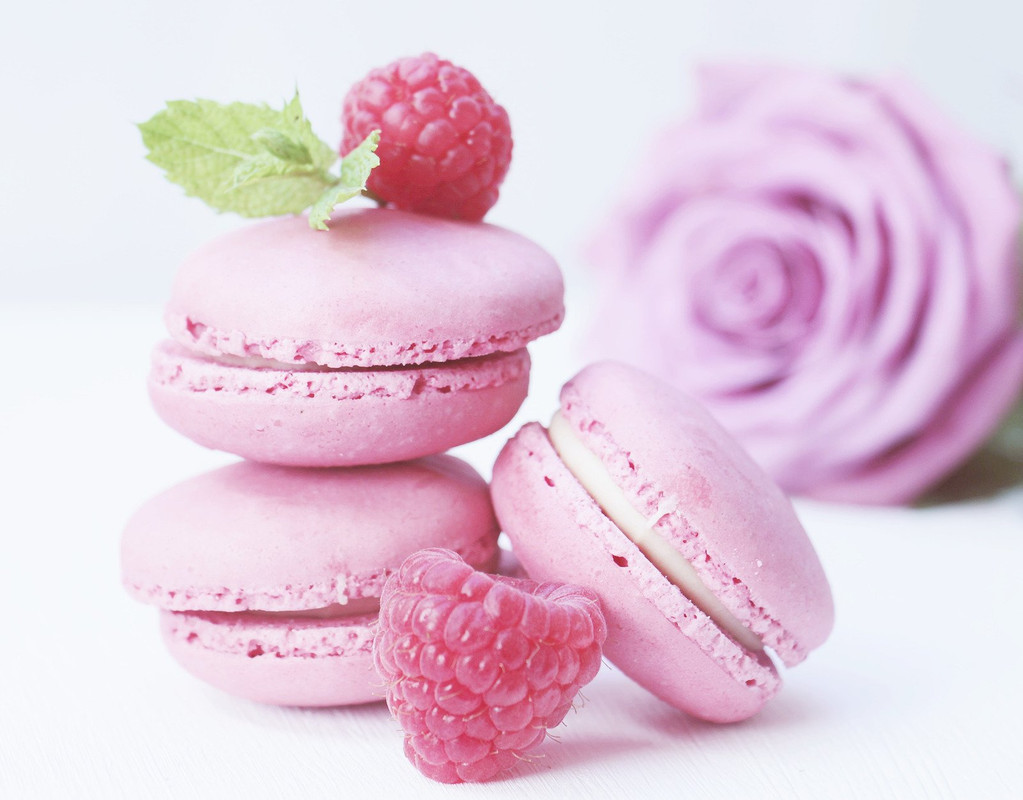 PINK-Raspberry-Macarons-and-Pink-Rose.jpg