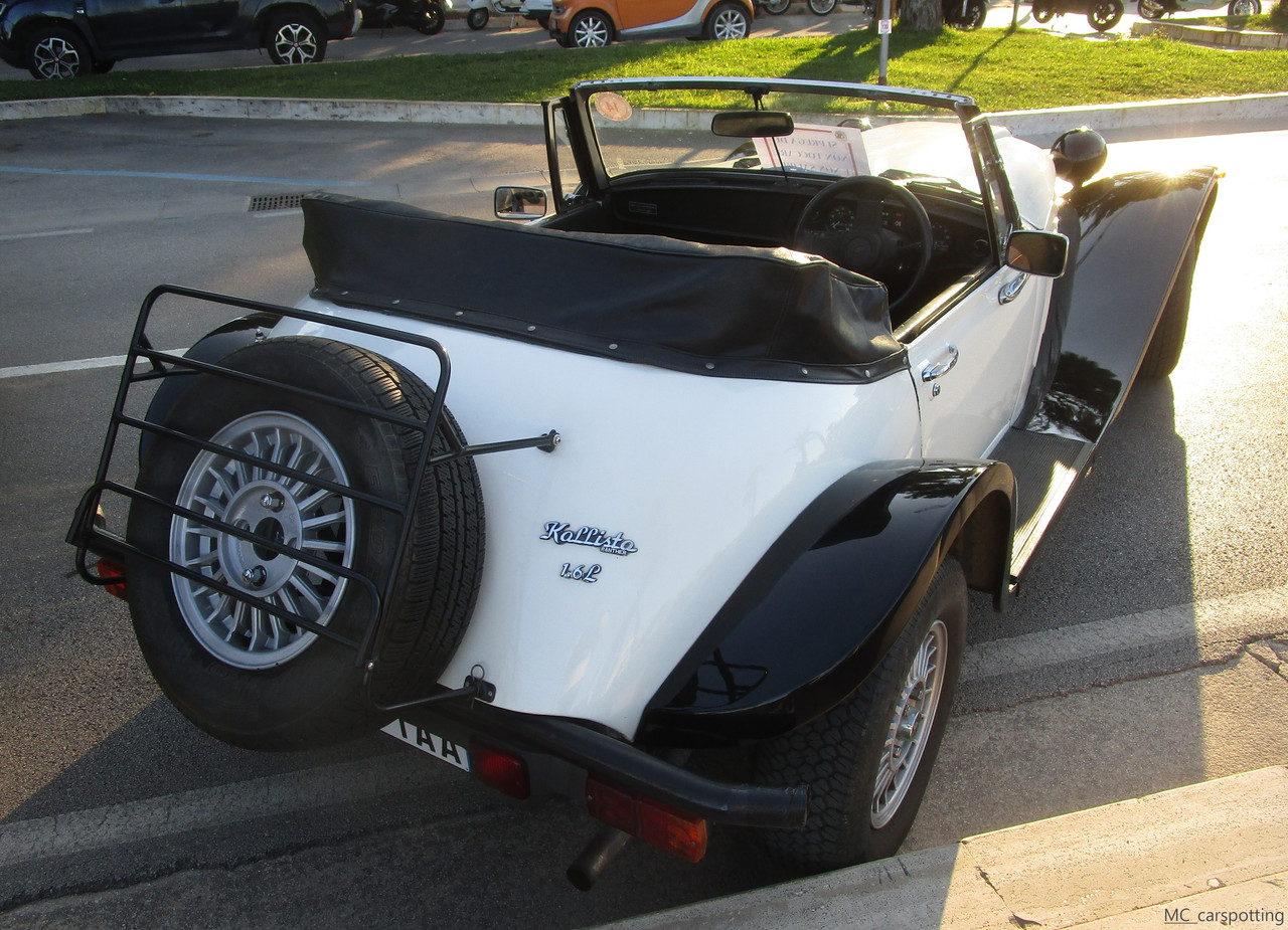 IMG-8954.jpg